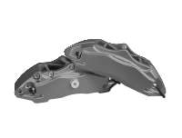Calipers 3406 PP01