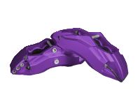 Calipers 3609 PP08