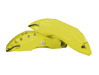 Calipers 3803 RP06